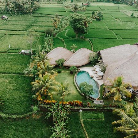Villa Omah Padi Ubud Экстерьер фото