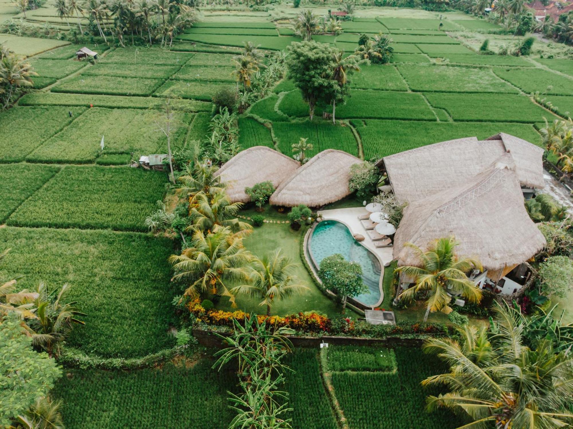 Villa Omah Padi Ubud Экстерьер фото